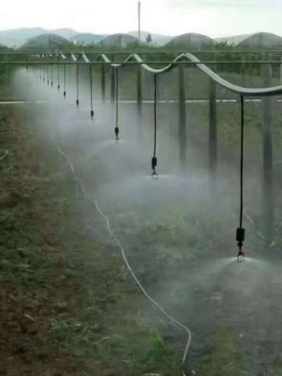 ΢